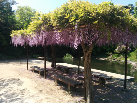 f:id:bean:20160511162300p:image:w640