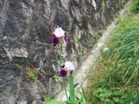 f:id:bean:20160511164921p:image:w640