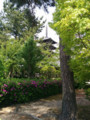 法隆寺 五重塔