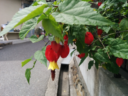 f:id:bean:20160511165915p:image:w640