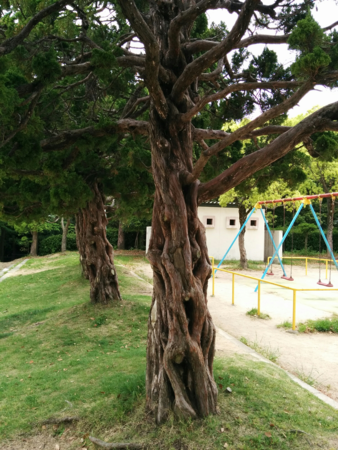f:id:bean:20160511170416p:image:w500 f:id:bean:20160511170416p:image:w500