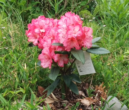 f:id:bean:20160511170653p:image:w640