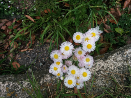 f:id:bean:20160511170704p:image:w640