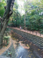 等々力渓谷 #3