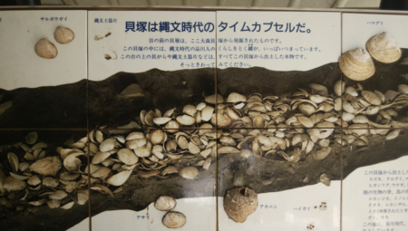 大森貝塚#2