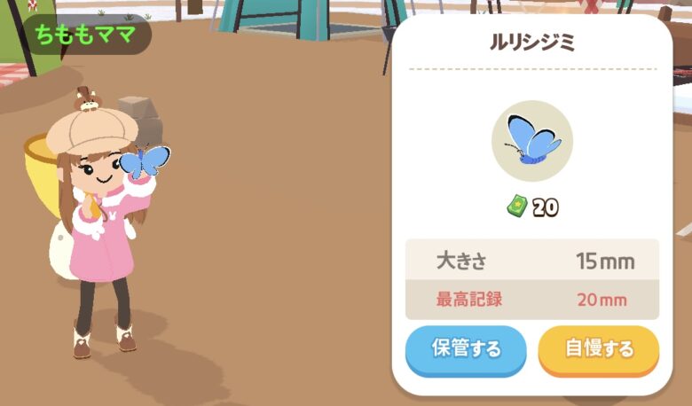 捕まえたルリシジミの写真