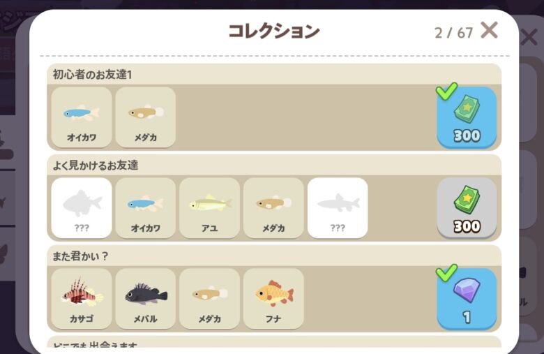 魚コレクションの写真