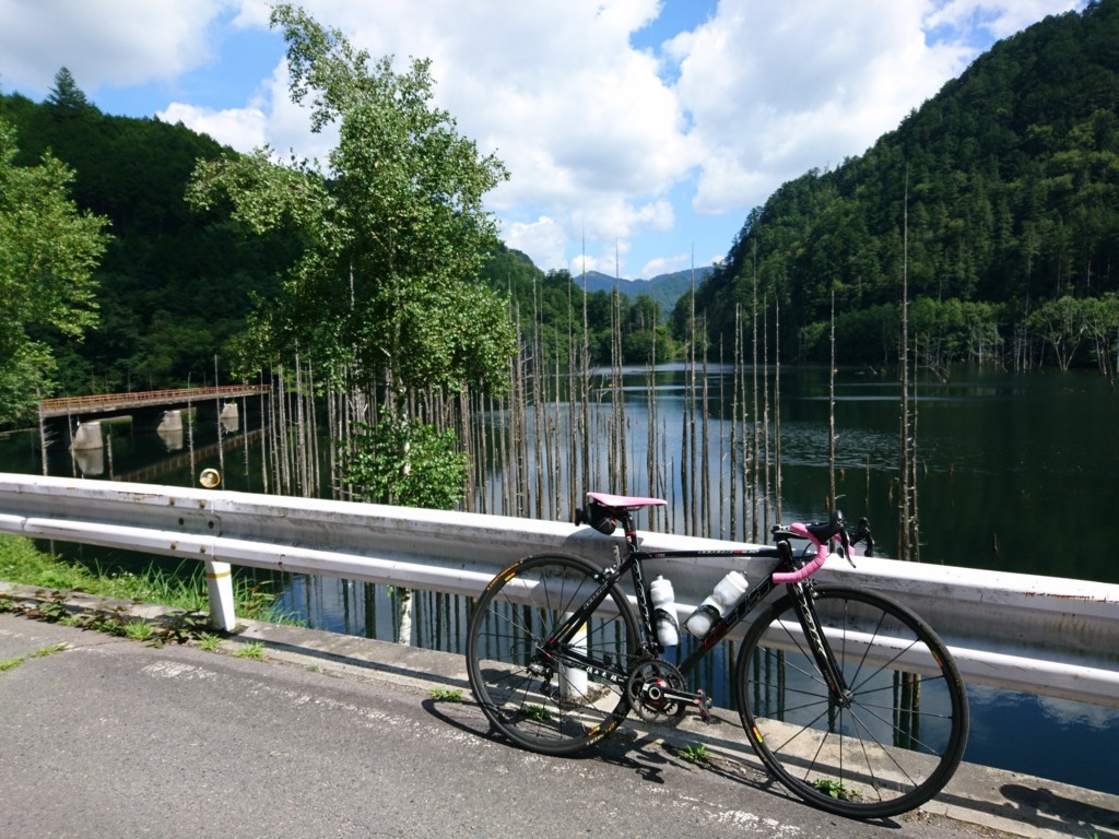 f:id:bean_cyclehorse:20170820195350j:plain f:id:bean_cyclehorse:20170820195350j:plain