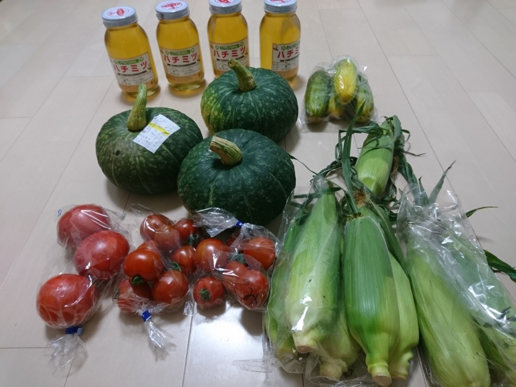 f:id:bean_cyclehorse:20170820195447j:plain f:id:bean_cyclehorse:20170820195447j:plain