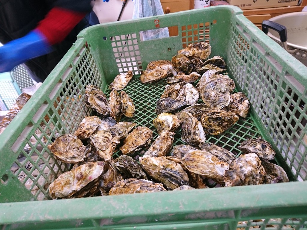 f:id:bean_cyclehorse:20171217225853j:plain