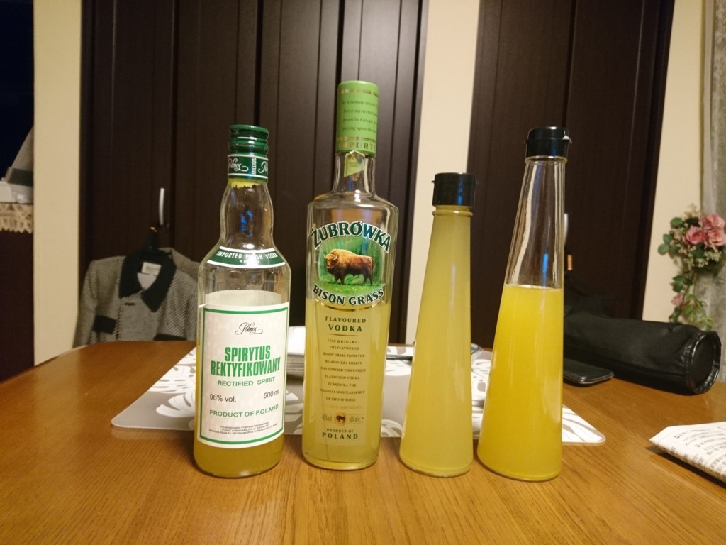 f:id:bean_cyclehorse:20180104220545j:plain