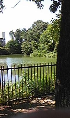 f:id:beanabag:20100725224329j:image