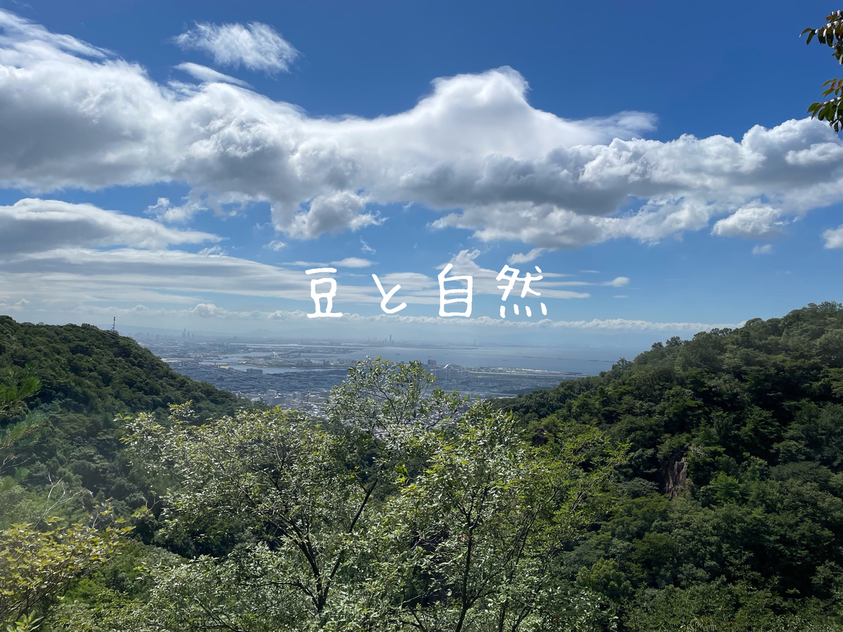 f:id:beansandnature:20210815162322j:plain