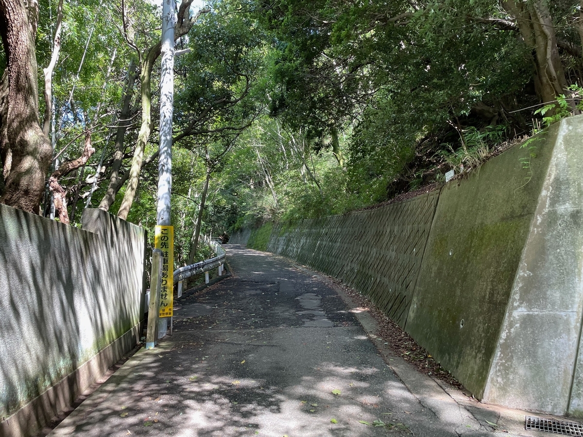 f:id:beansandnature:20210815162350j:plain