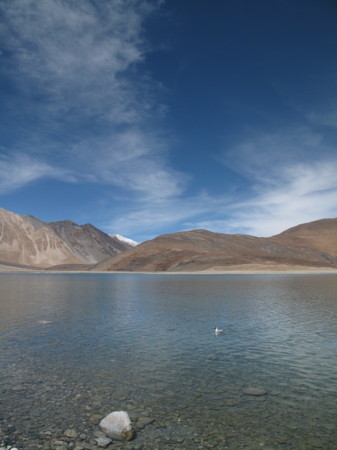 f:id:beantique:20100504163732j:image