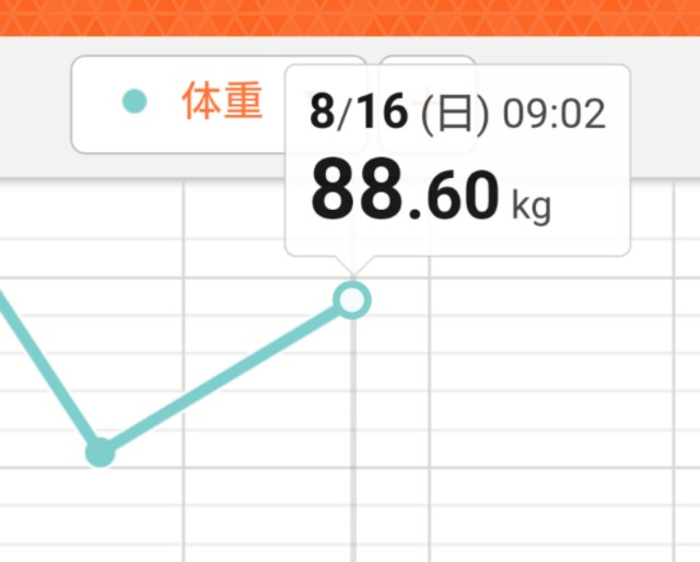 f:id:bear3835:20200816143037j:image