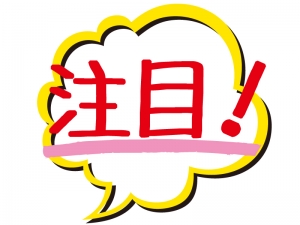 f:id:bear3835:20210117121731j:plain