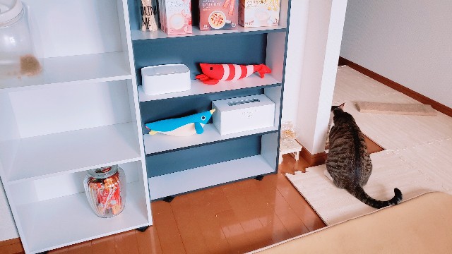 f:id:bearSuu:20200721235639j:image