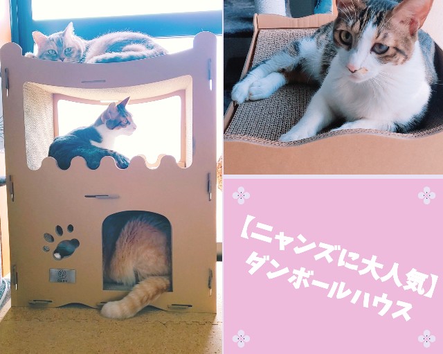 f:id:bearSuu:20200810180021j:image