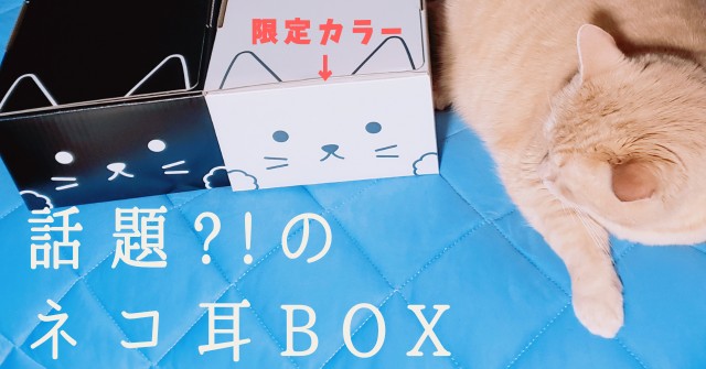 f:id:bearSuu:20200812234916j:image
