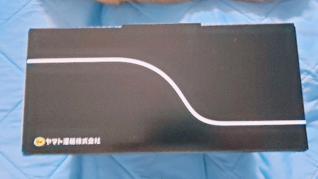 f:id:bearSuu:20200813002114j:image