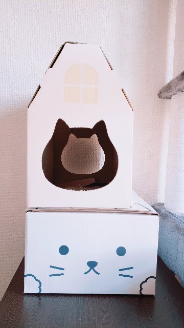 f:id:bearSuu:20200813011725j:image