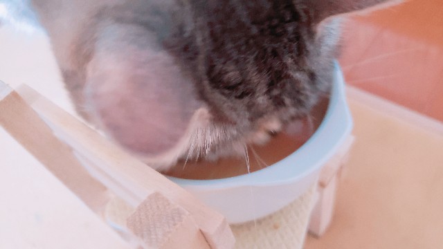 f:id:bearSuu:20200816235808j:image