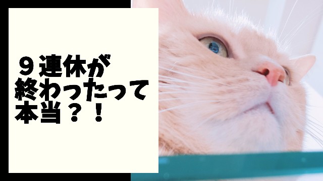f:id:bearSuu:20200817005512j:image