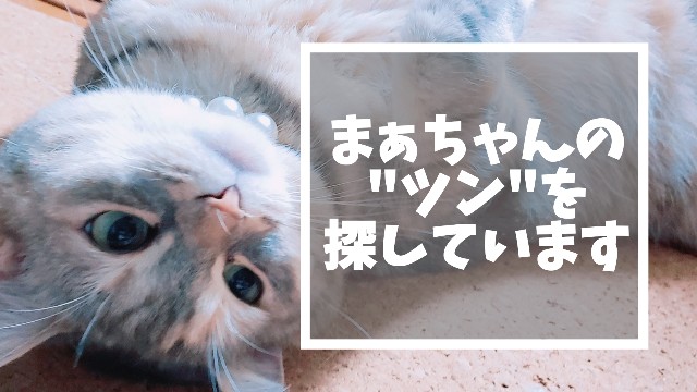 f:id:bearSuu:20200820125602j:image