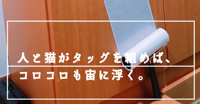 f:id:bearSuu:20200825003417j:image