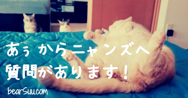 f:id:bearSuu:20200906200754j:image