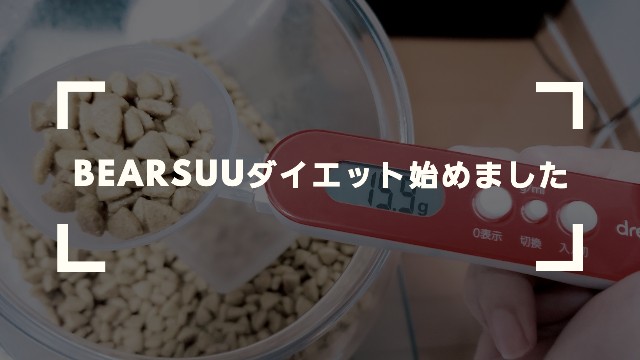 f:id:bearSuu:20200920002011j:image