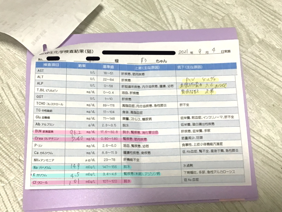 f:id:bearSuu:20210920221957p:plain