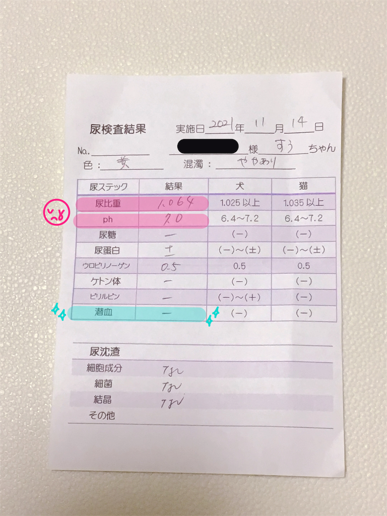 f:id:bearSuu:20211114224029p:image