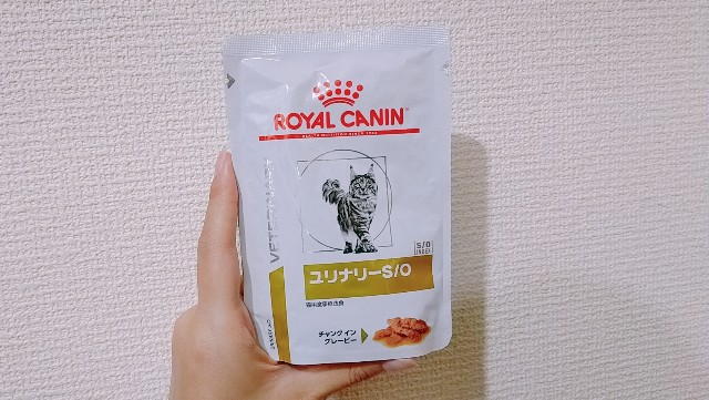 f:id:bearSuu:20211115230437j:image