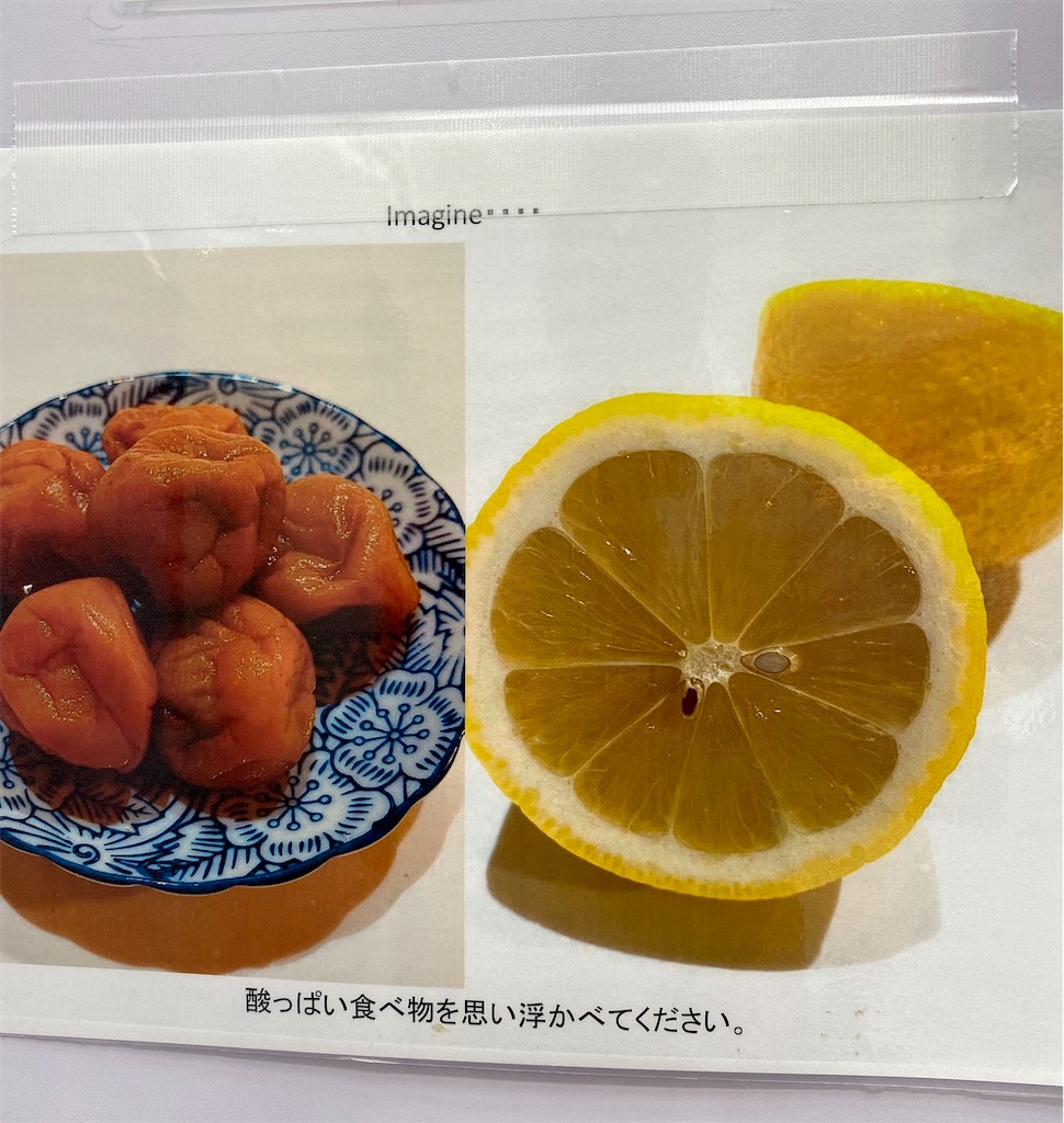 f:id:bearbearbeer:20220507165550j:image