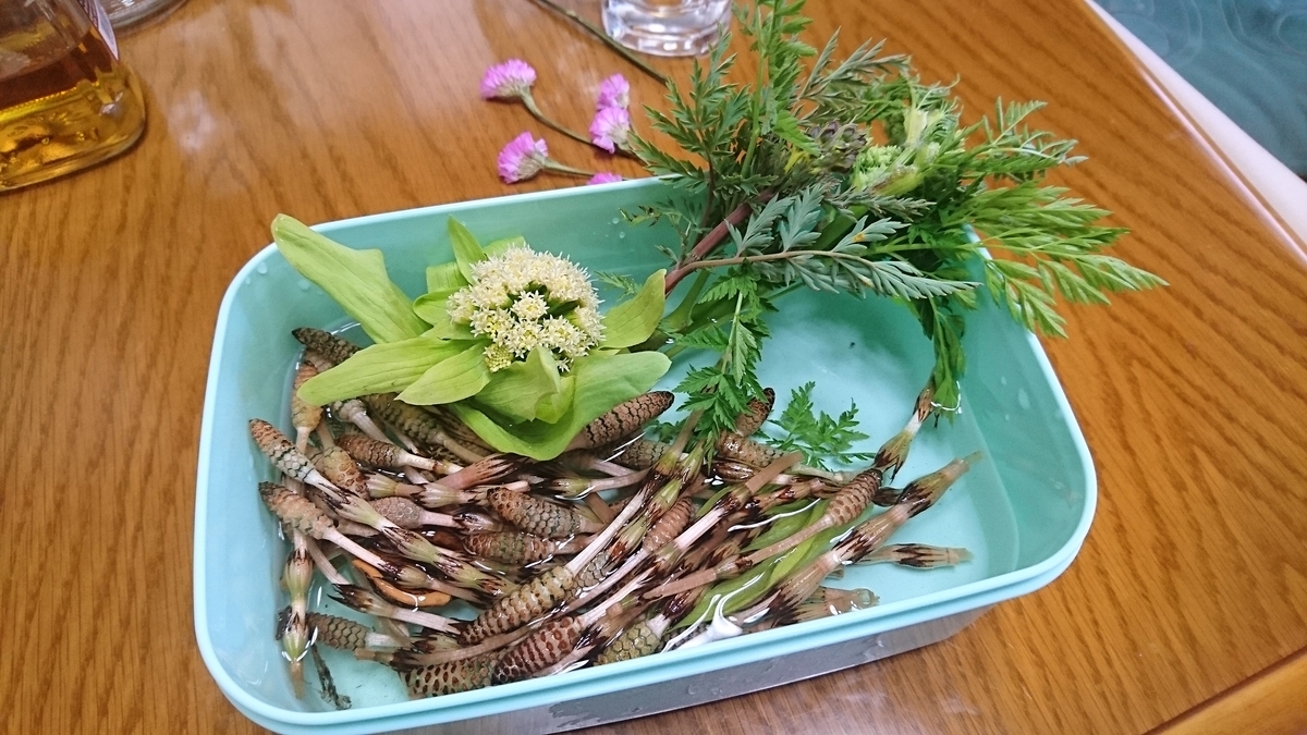 f:id:bearbell:20190422124015j:plain f:id:bearbell:20190422124015j:plain