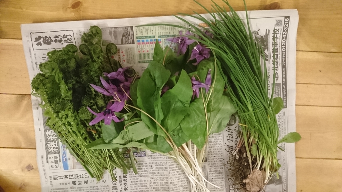 f:id:bearbell:20190425184346j:plain f:id:bearbell:20190425184346j:plain