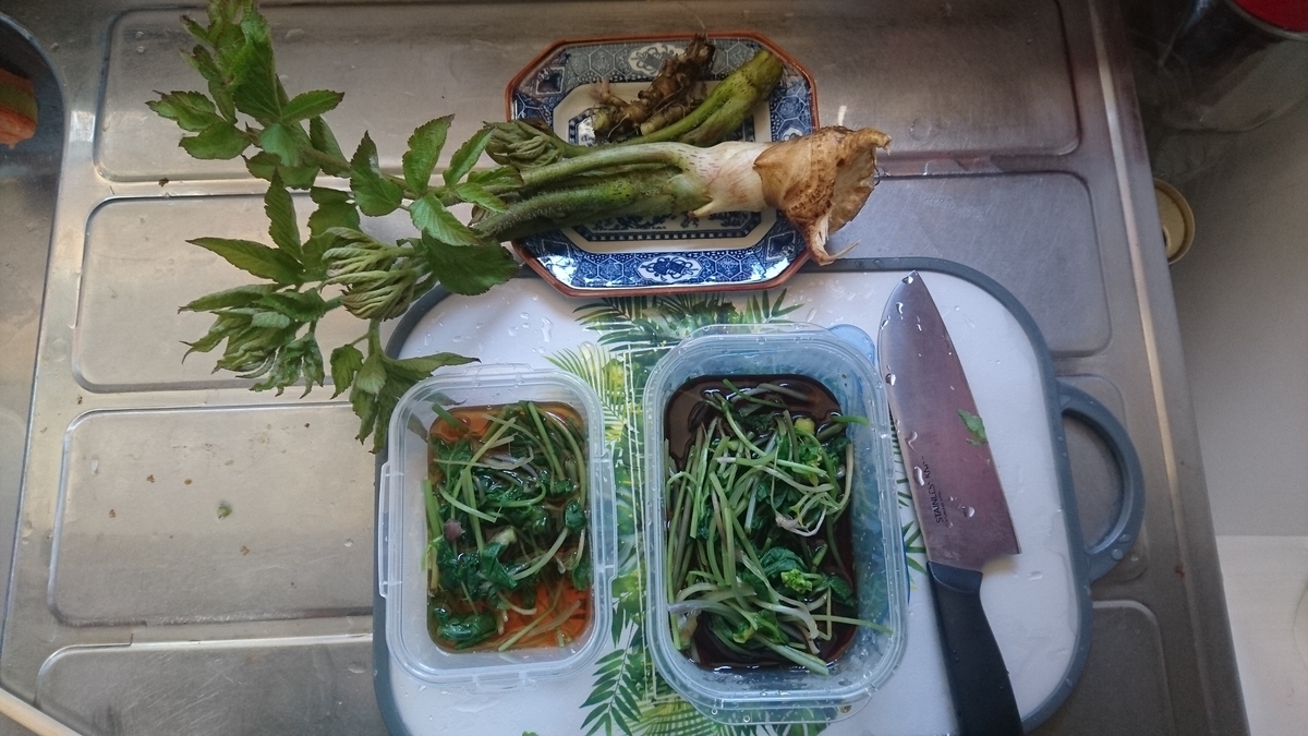 f:id:bearbell:20190504105458j:plain f:id:bearbell:20190504105458j:plain