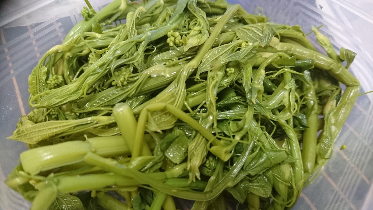 f:id:bearbell:20190623174209j:plain f:id:bearbell:20190623174209j:plain