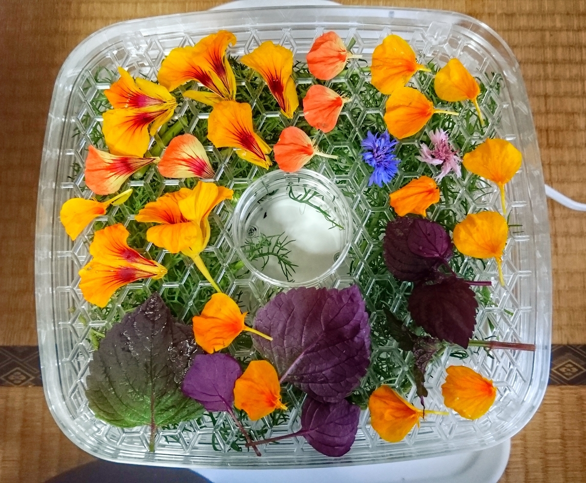 f:id:bearbell:20190703135607j:plain f:id:bearbell:20190703135607j:plain