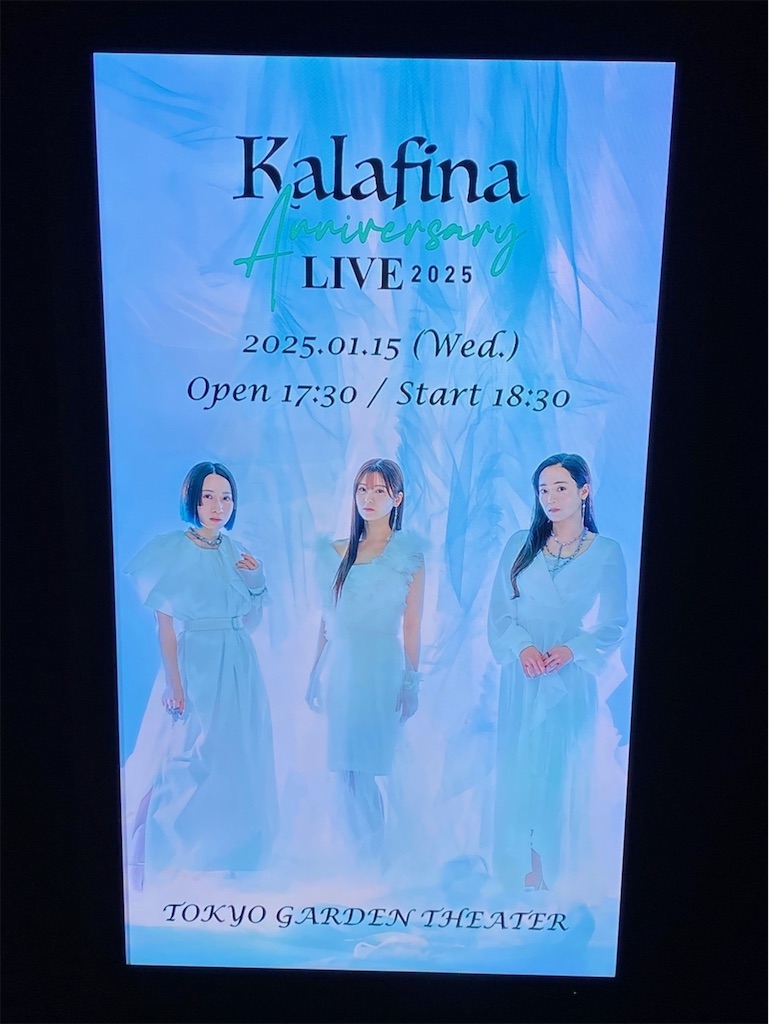 f:id:bearishkatomaru:20251231224533j:image