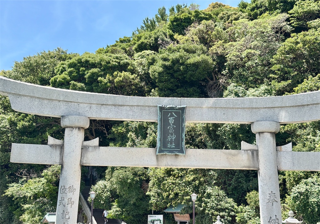 f:id:bearishkatomaru:20260810094628j:image