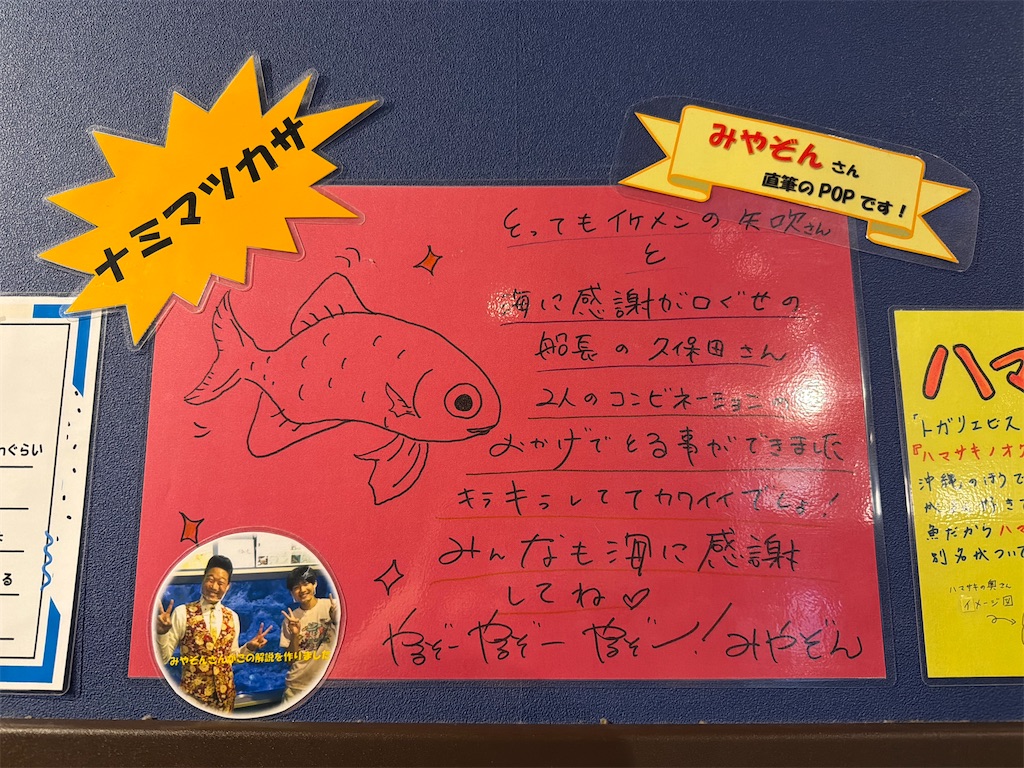 f:id:bearishkatomaru:20260810103058j:image