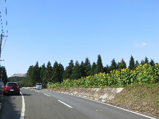 f:id:beat:20171116212433j:image f:id:beat:20171116212433j:image