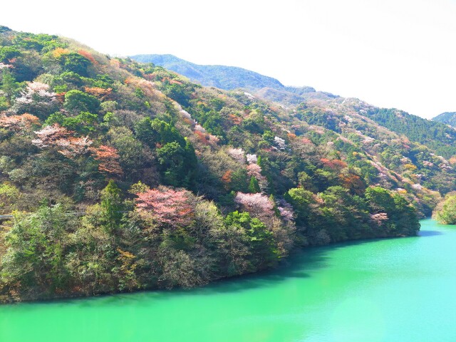 f:id:beat:20180329212835j:image