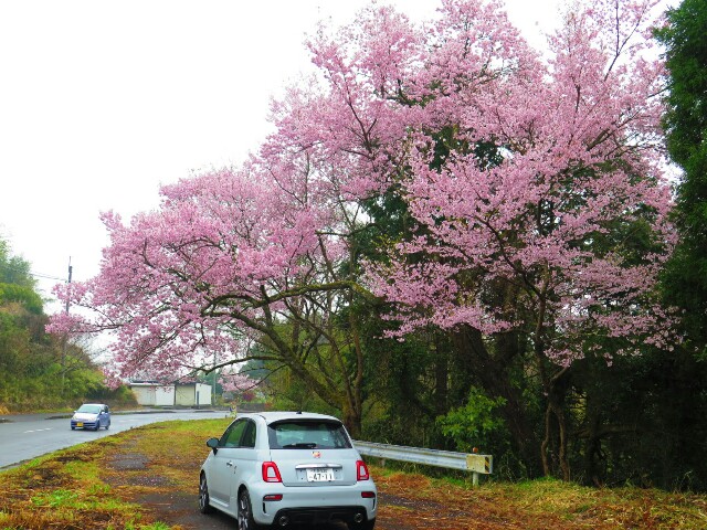 f:id:beat:20200326195416j:image