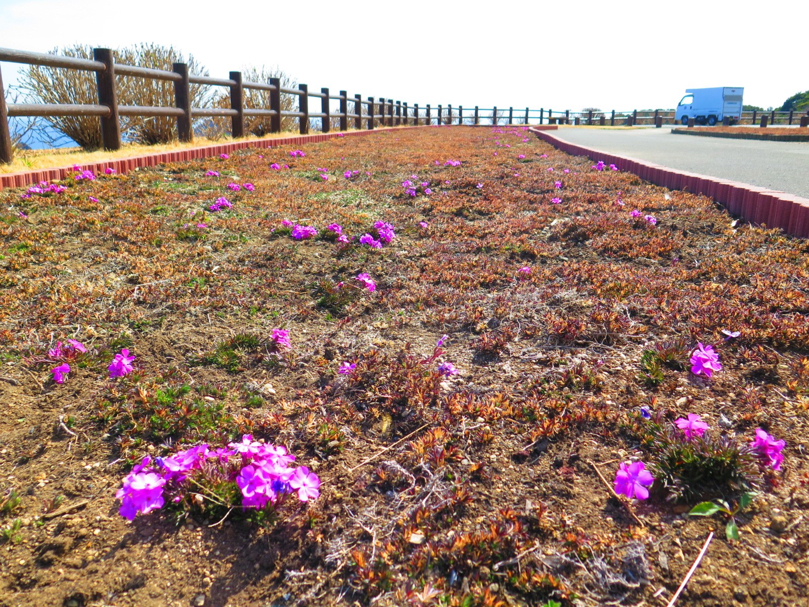 f:id:beat:20220303203225j:image