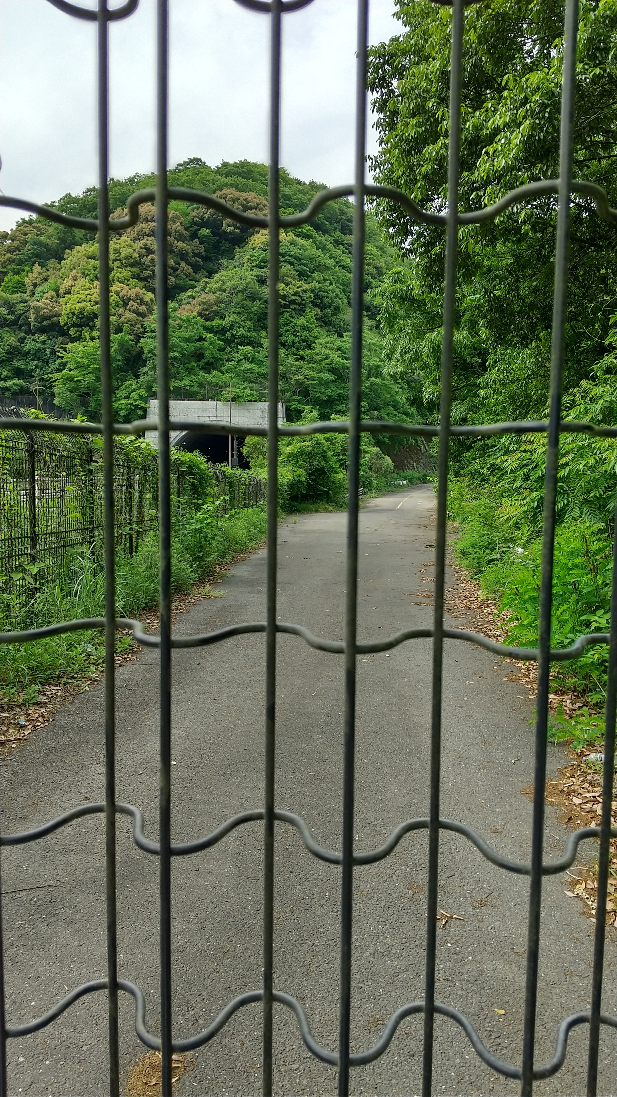 f:id:beat:20220518183758j:image