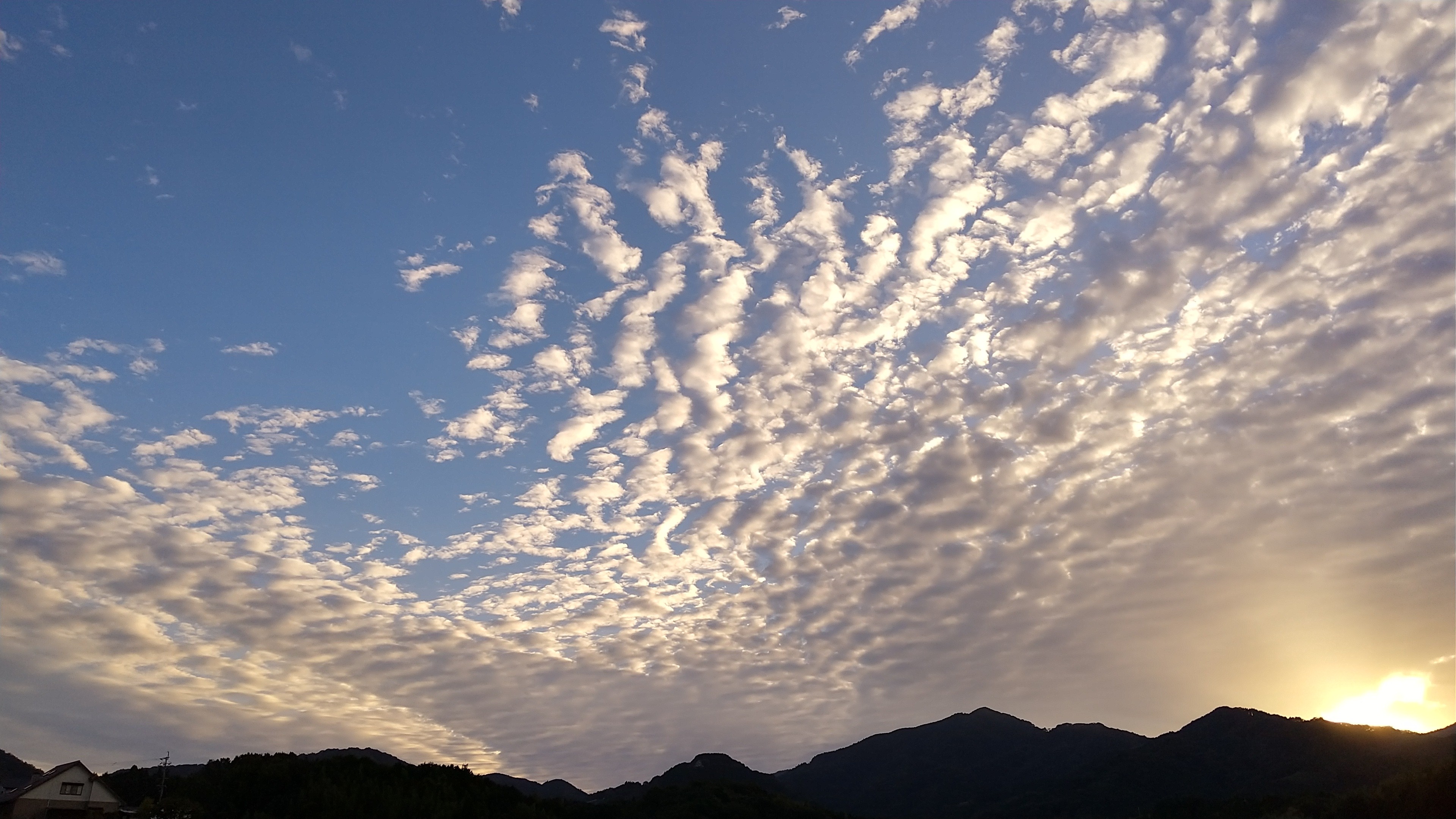 f:id:beat:20221019202522j:image